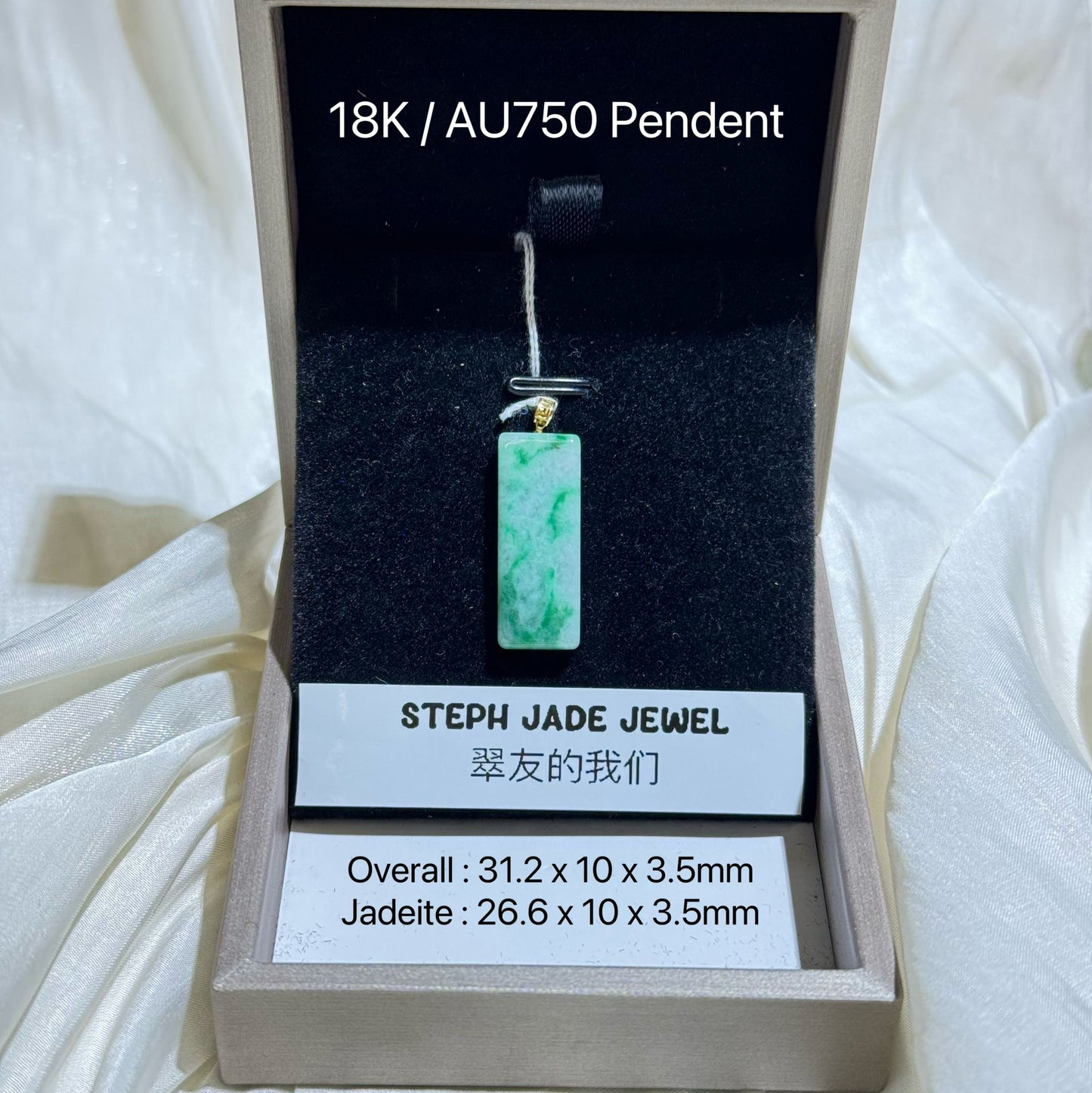 18K Pendent - WSP