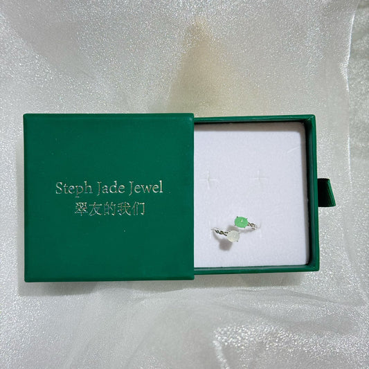 Silver925 Rings - Duo