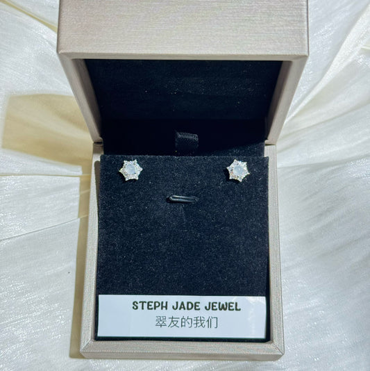 Earrings - Icy